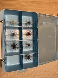 Item thumbnail for item 641aa125-20d6-4316-abb5-85925fb2b577