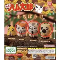 【新品・未開封】とっとこハム太郎 まちぼうけ　3点セット