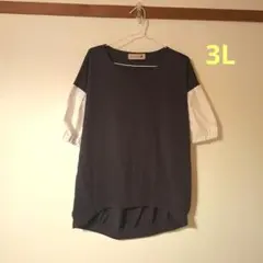 しまむら colopuca バイカラー半袖カットソー3L
