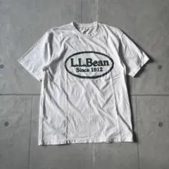 美品　L.L.Bean ロゴ　Tシャツ /colombia パタゴニアのサムネイル