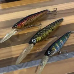 Item thumbnail for item 518f4c07-b02f-4f9f-b31d-82346bcc0d04