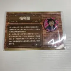 名探偵コナン　毛利蘭 缶バッジ　プロフィール