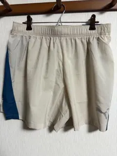 Item thumbnail for item 8c10c32a-9adc-44a8-bdd1-fb0a3ce698c9