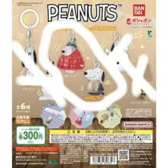 スヌーピーめじるしアクセサリー Funnyバージョン スヌーピーC スヌーピーD