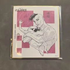 2026年最新】呪術展 色紙の人気アイテム - メルカリ