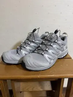 SALOMON XA PRO 3D