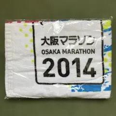 Item thumbnail for item b4f0c496-310e-44e6-aac3-cce95f179311