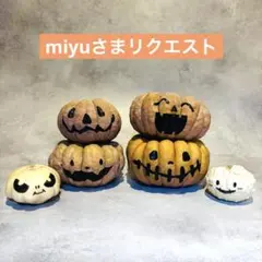 2025年最新】Miyu 鉢の人気アイテム - メルカリ