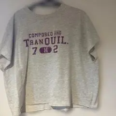 美品AMERICAN HOLIC Tシャツ 半袖 オートミール L