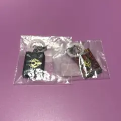 仮面ライダー めじるしアクセサリー 龍騎 まとめ売り