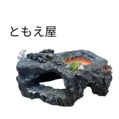 2025年最新】ともえ屋 シェルターの人気アイテム - メルカリ