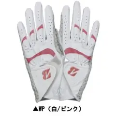 Item thumbnail for item 87e04c6f-3ce9-4460-bbf8-c5b43f05ba42