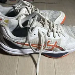 asics 27.5バレーボールシューズ 石川祐希着用モデル - メルカリ