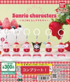 サンリオキャラクターズ　いちごめじるしアクセサリー　コンプリート