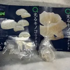 光るキノコのマグネット シロヒカリタケ エナシラッシタケ 2種セット