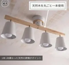 2026年最新】シーリングスポットライトの人気アイテム - メルカリ