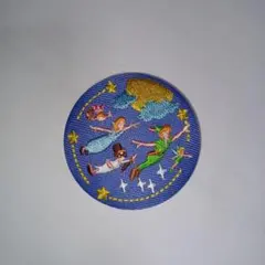 ディズニーキャラクターズビスケット刺繍缶バッジ　ピーターパン