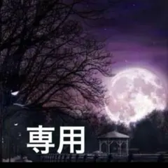 コクラン様 リクエスト 4点 まとめ商品