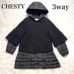 2025年最新】チェスティ ダウンの人気アイテム - メルカリ