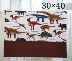 【No.37】ハンドメイド　恐竜柄　ランチョンマット　１枚