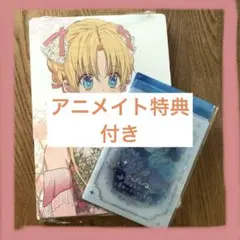 アニメイト限定特典　ある日、お姫様になってしまった件について 12巻