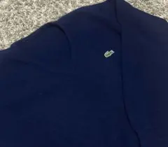 user_00ec28f1様　専用ラコステニット