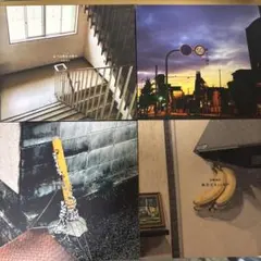 ammo CD4枚セット