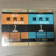 出口の現代文ヘレベル別問題集 2 基礎編 3 標準編 2冊セット