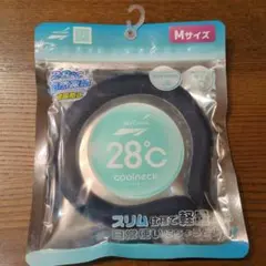 Item thumbnail for item 564dd5e9-c6eb-4b07-9971-ff5f608809cb