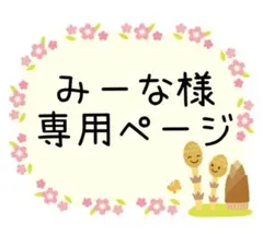 みーな様専用ページ