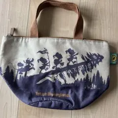 【ディズニーランド】スーベニアランチケース　ヒューイ、デューイ、ルーイ