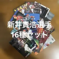 プロ野球チップスカード等新井貴浩選手16種まとめセット(キラ6種ノーマル10種)のサムネイル