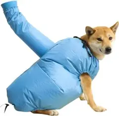 Item thumbnail for item 3e1a1d87-5ca6-4db3-9ecf-6061d20bbf1e