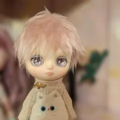 2026年最新】ブライス モヘアウィッグの人気アイテム - メルカリ