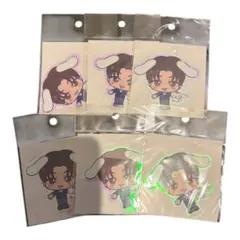 EVENTEEN サンリオ ステッカー　ジョシュア　6枚