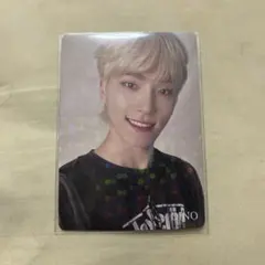 ディノ トレカ Follow FC 更新