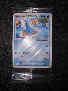 ポケパークのミズゴロウ　未開封　プロモ　PROMO 048