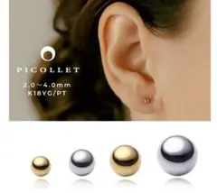 2026年最新】picollet ピアスの人気アイテム - メルカリ