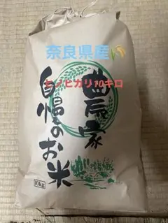 土日限定タイムセール中！ 令和7年産 ヒノヒカリ 熊本県 10キロ 農家 