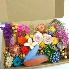 ✿花材詰め合わせ/ドライフラワー.プリザーブドフラワー /①