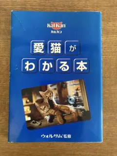 Item thumbnail for item 0843c66d-0031-4181-bcd9-544533177846