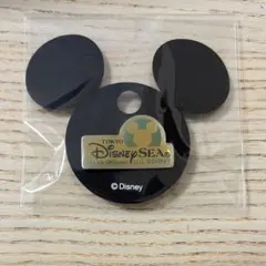 【匿名配送】東京ディズニーシー　ロゴ　ピンバッジ