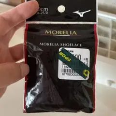 Mizuno Morelia シューレース 110cm 黒