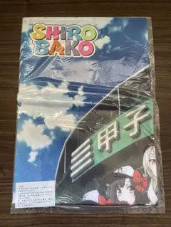 c106 ろうか ぼっち・ざ・ろっく 会場限定 ロングポスター PAさん