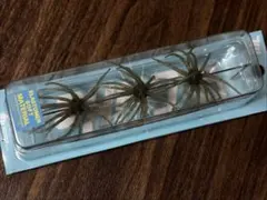 旧コイケ　新品セット 2025年最新】旧コイケの人気アイテム - メルカリ