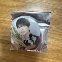 2025 seventeen cafe セブチカフェ 缶バッジ ウォヌ