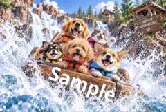 犬と猫の急流ボート体験 デジタルアート イラスト ポストカード