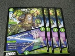 大長老 アプル　4枚