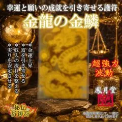 金運爆上げ 特別祈祷 蟠竜図御守り護符 京都 相國寺 - メルカリ