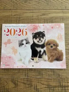 Item thumbnail for item 49096eee-ab26-4572-bf8e-d2f1c68c8424